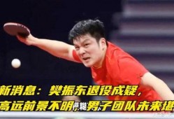 樊振东最新爆料,备战东京奥运的幕后故事与心路历程”